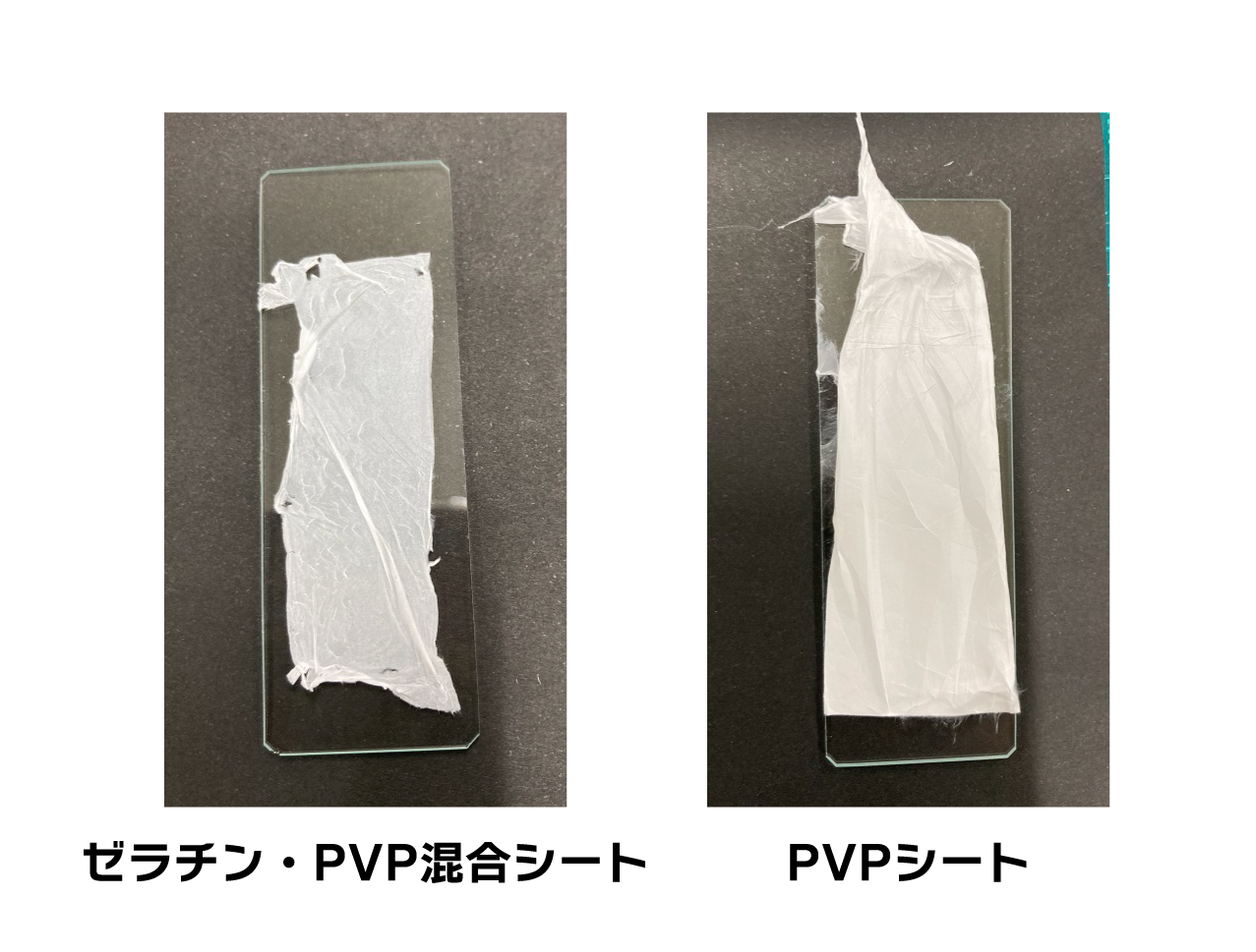 ゼラチン・PVP混合ナノファイバーシートを紡糸しました